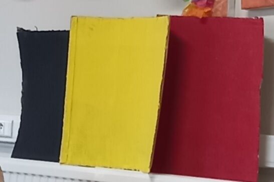 21 juillet 2022 nous fêtons la fête nationale 
