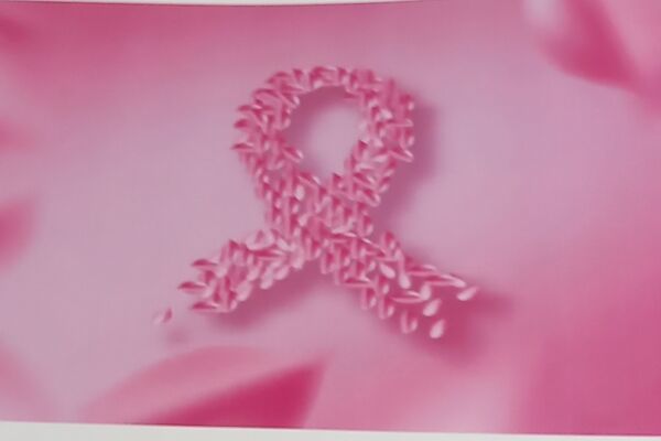 la résidence soutient pink october