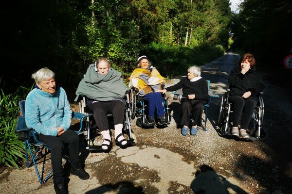 Ballade au bois avec quelques résidents courageux