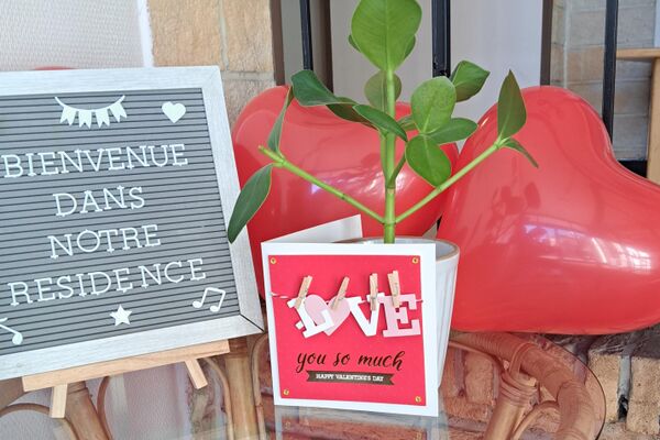La résidence Nouvelle le Châtelet fête la Saint Valentin