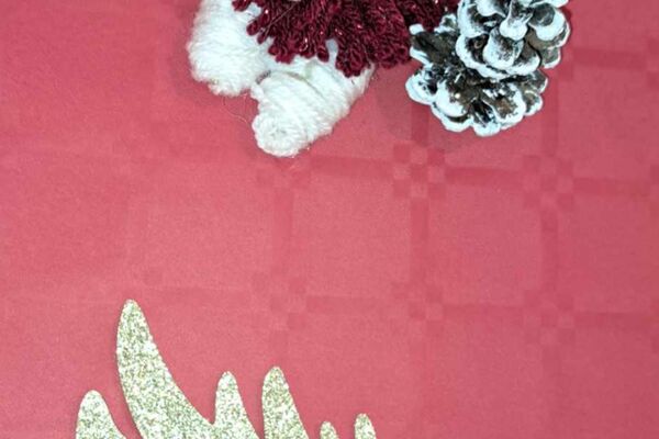 Notre merveilleuse journée de Noël 2023