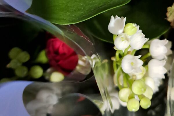 L'ensemble des résidents ont reçu un brin de muguet porte bonheur.
